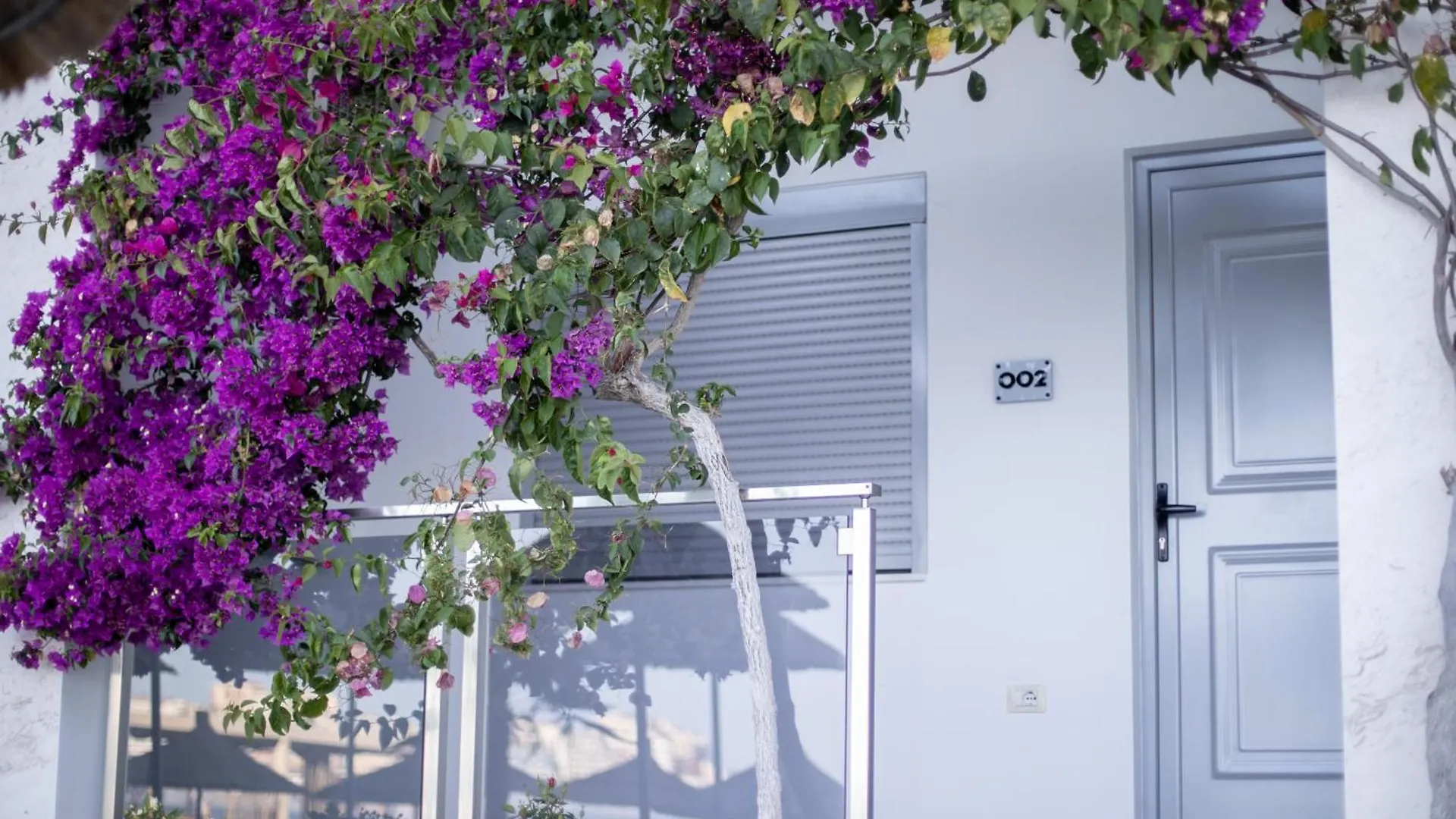 Hotel Jaroal Σαράντα 4*,  Αλβανία
