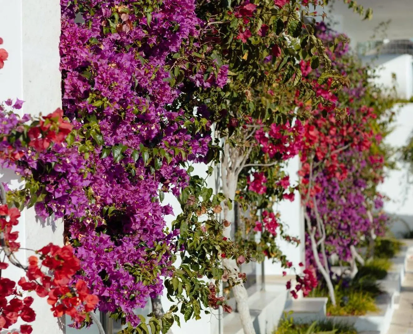 Hotel Jaroal Sarandë